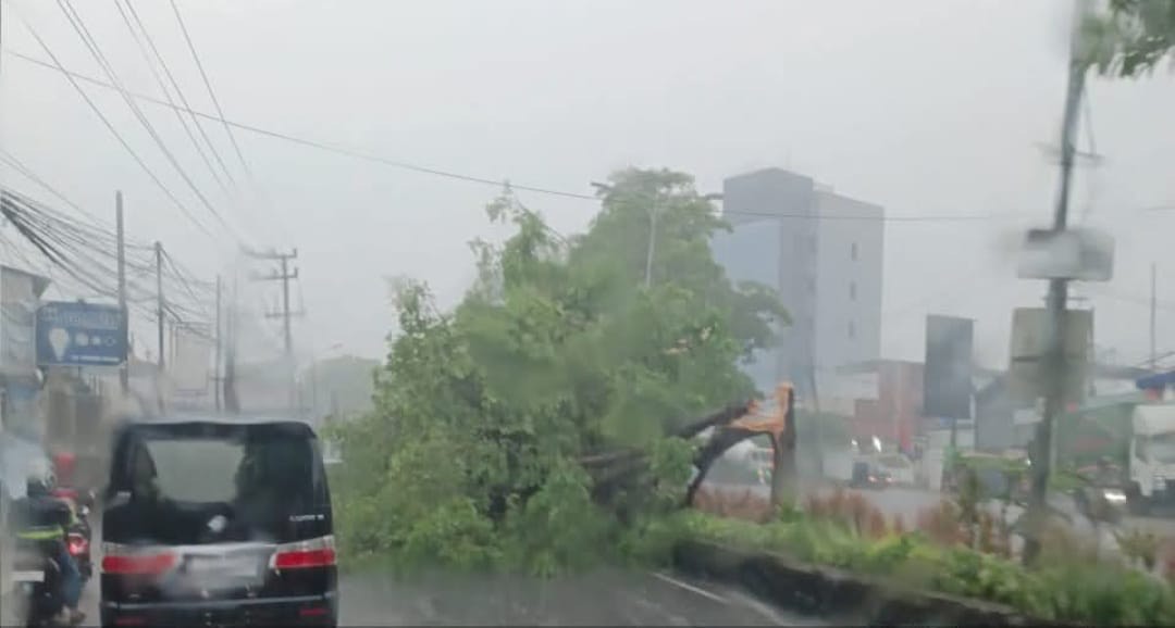 23129368 6d14 45a8 97fc 50d09c7e5841